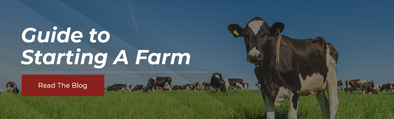 Guide to Starting A Farm - Read The Blog